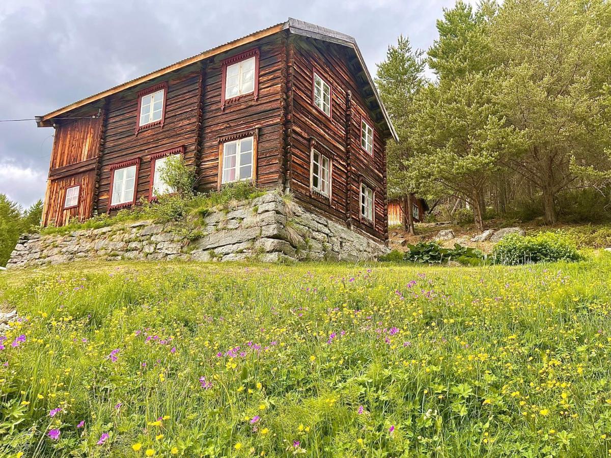 Reinheimen Lodge Skjåk Eksteriør billede