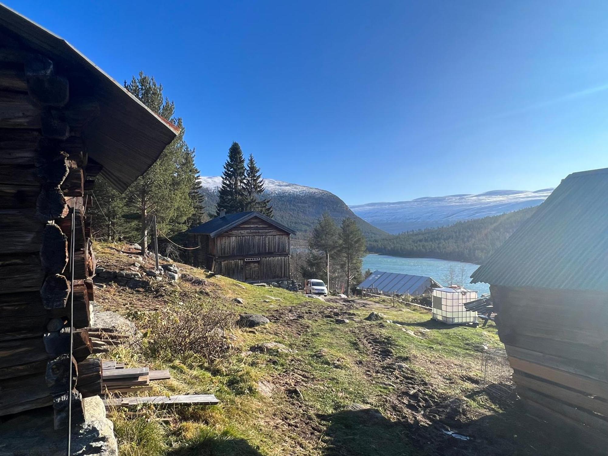 Reinheimen Lodge Skjåk Eksteriør billede